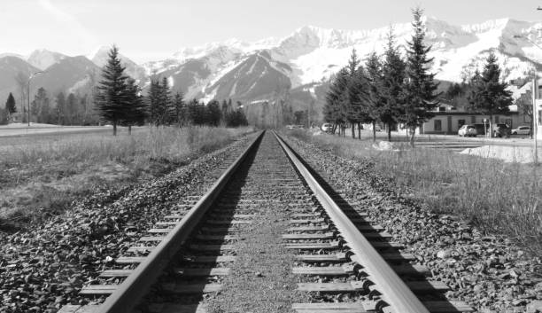 Hoar frost coated trees by railroad tracks on a Winter Morning