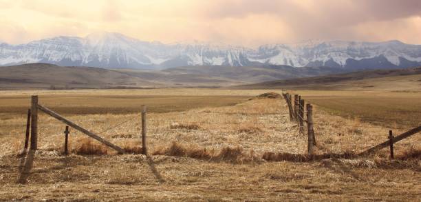istock Canadian Rockies Panoramic Photo Two 2159486678