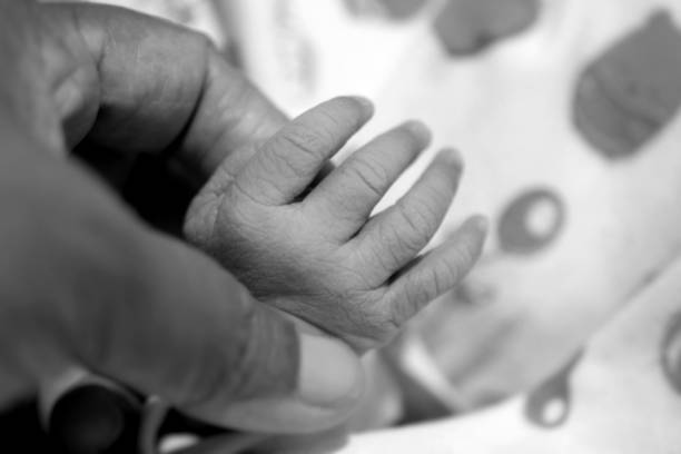 Close-up of a small hand of a child and the hand of mother and father. A newborn baby after birth holds tightly, squeezes the thumb of its parents. Black and white photography on a black background.