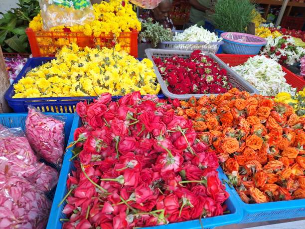 istock Colourful flowers for sale 2159490840