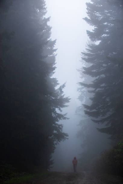 istock Woman walking in misty forest 2159491171