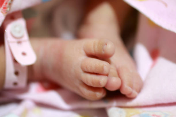 Newborn baby feet. The tiny foot of a newborn baby. Soft feet of a newborn in a pink blanket. Close up of toes, heels and feet of a newborn baby.
