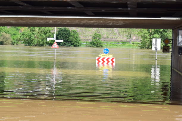 istock traffic signs sunk in the flood 2159494409