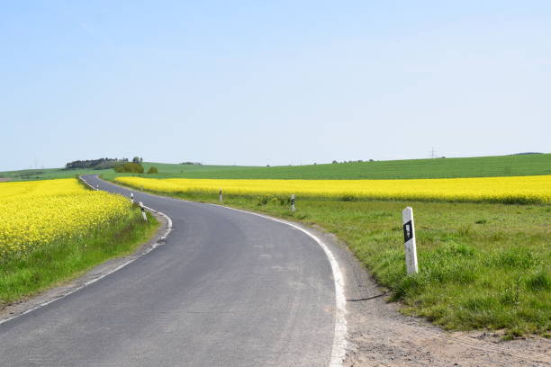 istock country road curve between yellow fields 2159495386