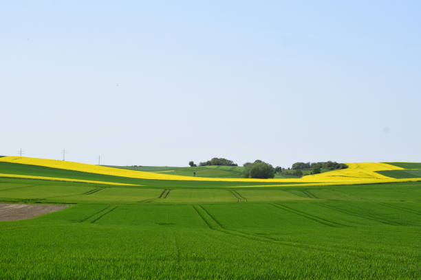 istock tiny settlement in green and yellow landscape 2159495451