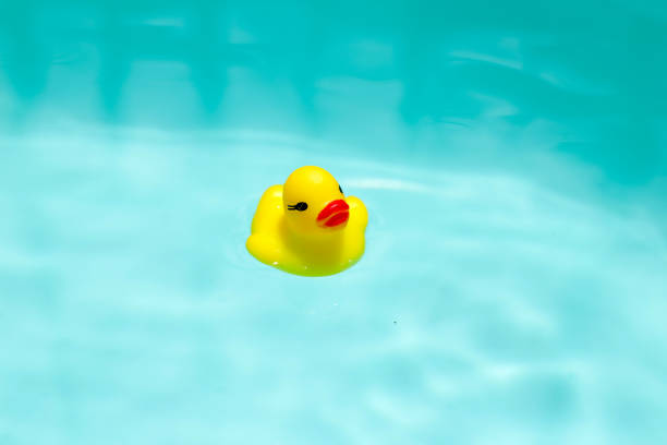 istock Cute yellow rubber duck floating on blue water 2159495801