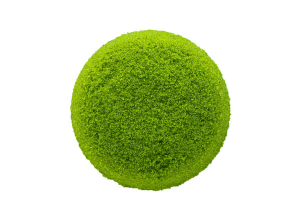 istock Fresh water Alga, Water Meal or Swamp Algae 2159495809