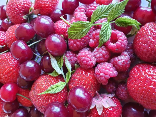 Berry background. Ripe cherries, strawberries and raspberries. Green raspberry leaves.Berries overhead closeup colorful large assorted cherries, strawberries and raspberries.
