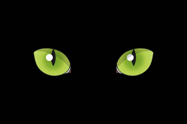 istock Cat eyes on black background. Feline eyes. Black cat with green eyes. Vector illustration 2159507138