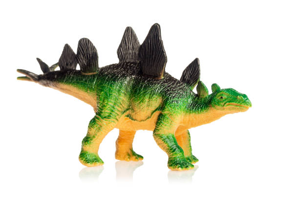 istock Dinosaur stegosaurus isolated on white background children's toy close-up 2159508478