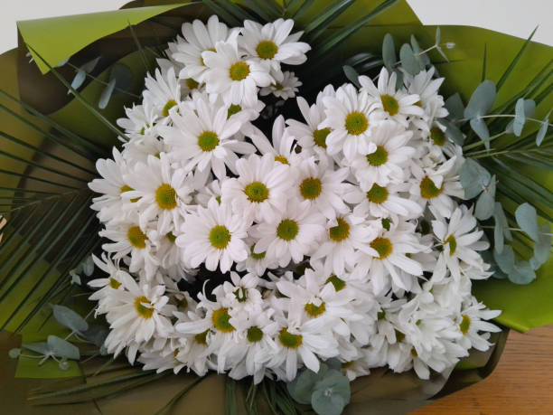 A bouquet of daisies