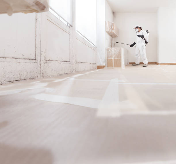 istock Mold remediation service: A professional worker spraying products to remove mold before house painting, clad in a protective suit and respirator mask, with a backpack sprayer at a home renovation site 2159513016