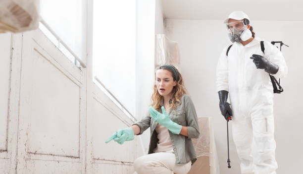 Mold remediation service: worried woman at a home renovation site shows a mold problem to a professional worker clad in a protective suit and a backpack sprayer to remove mold before house painting Mold remediation service: worried woman at a home renovation site shows a mold problem to a professional worker clad in a protective suit and a backpack sprayer to remove mold before house painting mold remediation stock pictures, royalty-free photos & images