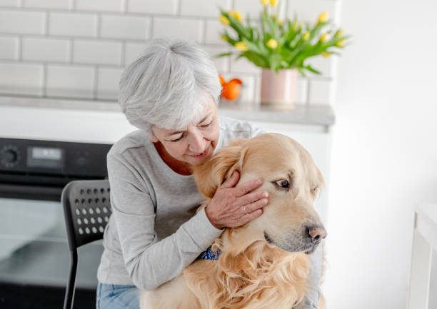 istock Grey-Haired Woman With Golden Retriever 2159517009
