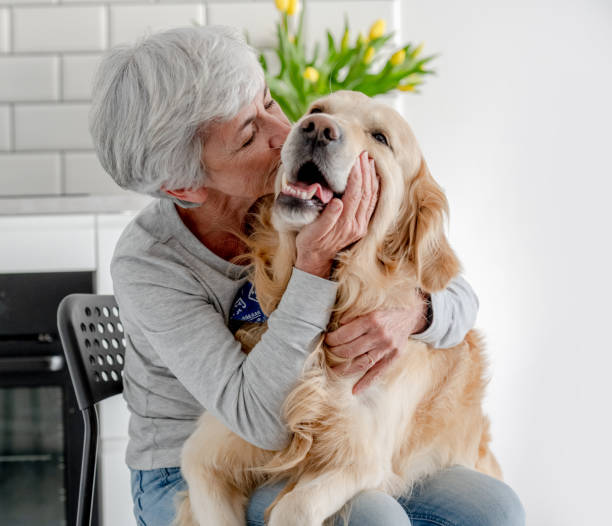 istock Grey-Haired Woman With Golden Retriever 2159517076