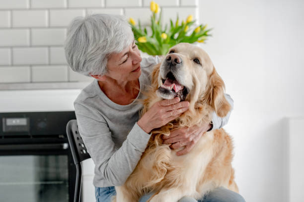 istock Grey-Haired Woman With Golden Retriever 2159517135