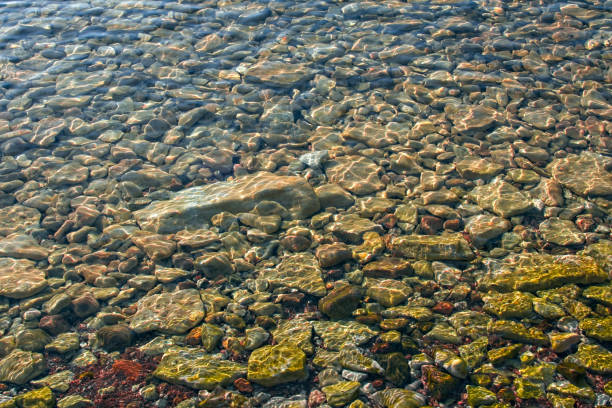 istock Pebbles under water in many colors 2159525532