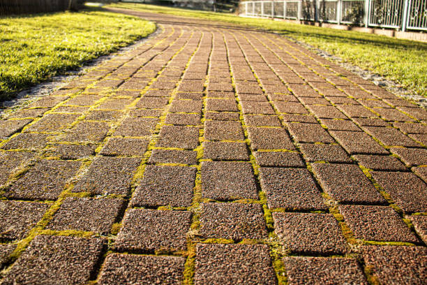 The city park plunged into the silence of golden autumn. The pedestrian path, meandering between ancient trees, is covered with a soft, rustling carpet of fallen leaves. The predominant color was a clean, cheerful yellow with a hint of fresh lemon to dark amber. Every step on this carpet was echoed with a quiet, nostalgic rustle, familiar from childhood.