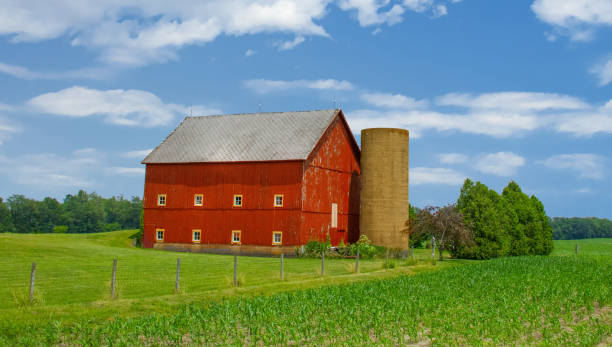 istock Old Weathered Red Barn with silo and corn field-Carrol County, Indiana 2159527342