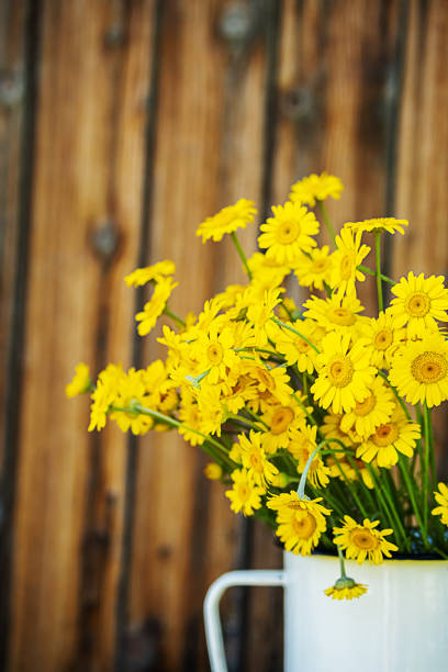 Yellow flower macro petals summer