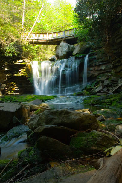 istock Elakala Falls #1, Blackwater Falls State Park, West Virginia 2159535987