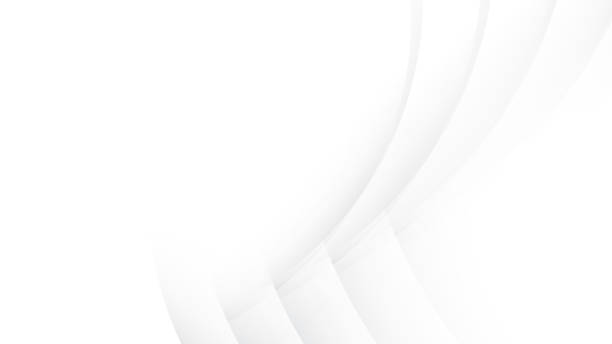 istock Abstract  white and gray color, modern design stripes background with curve lines. Vector illustration. 2159539123
