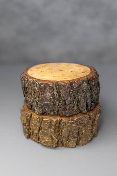 istock Craft decor from painted wheat in a wooden vase 2159540152