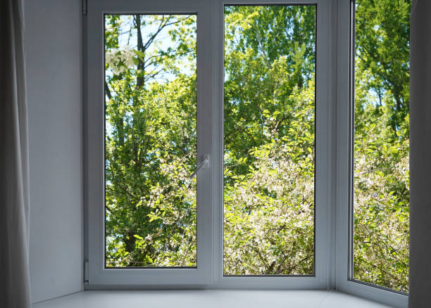 istock View from the window, green trees, landscape with forest. 2159543743