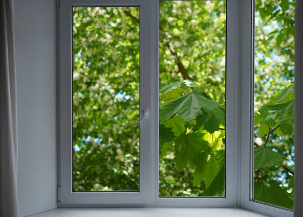 istock View from the window, green trees, landscape with forest. 2159543745