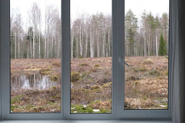 istock View from the window, green trees, landscape with forest. 2159543756