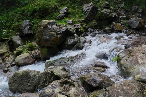 As the river approaches the waterfall, its pace quickens, and the sound of rushing water becomes more pronounced. The rocks, varying in size and shape, create mini cascades and rapids, contributing to the lively, melodic symphony of nature. These rocks, polished by the continuous flow of water, glisten under the sunlight, reflecting shades of gray, brown, and mossy green.The waterfall itself is a stunning centerpiece, with water plunging dramatically over a rocky ledge, creating a powerful, white frothy curtain. The force of the waterfall generates a cool mist that hangs in the air, often forming delicate rainbows in the sunlight. The base of the waterfall is surrounded by a pool of water that bubbles and churns, adding to the sense of movement and energy in the scene.