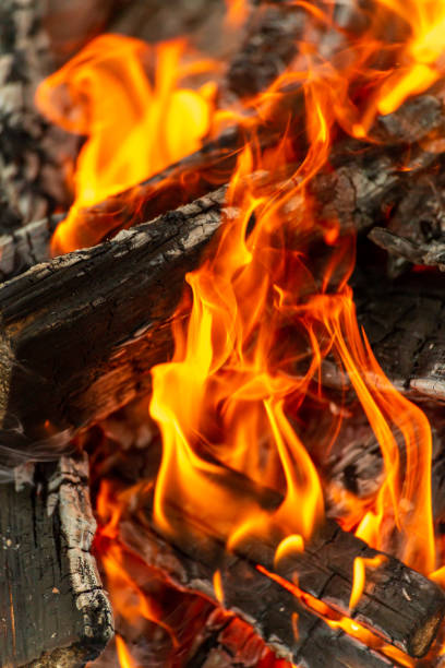 istock A blazing fire of burning logs. 2159552110