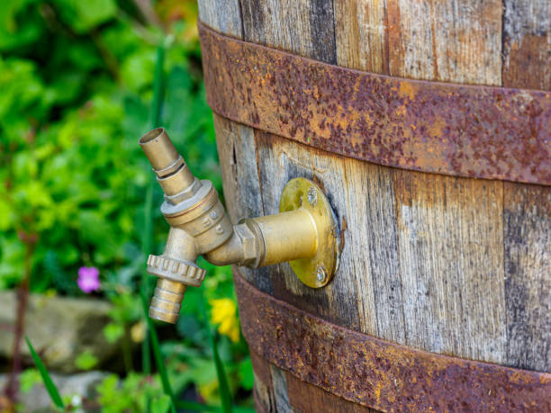 istock Rustic wooden barrel with brass spigot in lush garden setting 2159552554