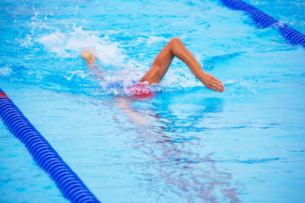 istock Unrecognizable male swimmer swimming using front crawl in an Olympic-size swimming pool 2159555350