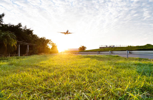 Airplane flying over the green grass.