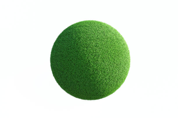 Green grass ball. Isolated on white background.