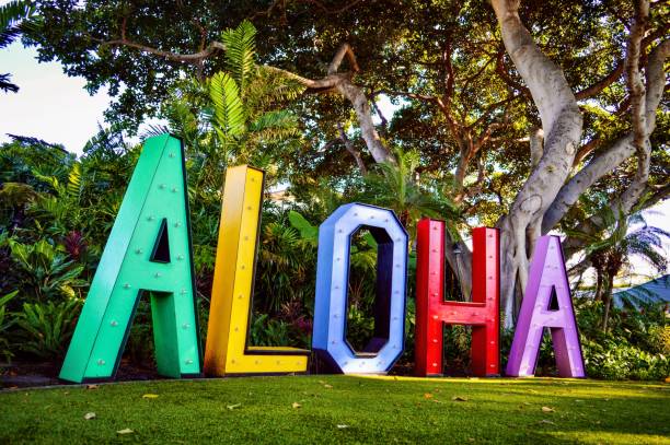 aloha - islas de hawái fotografías e imágenes de stock