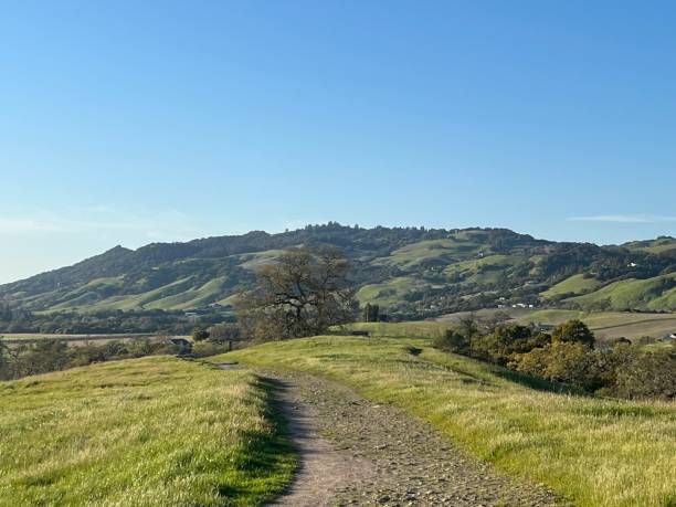 istock Crane Creek Regional Park, Sonoma County, CA 2159565922