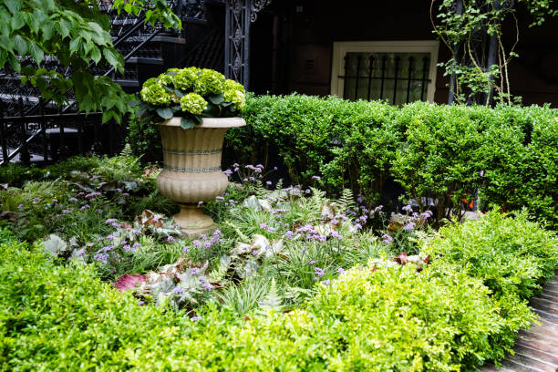 green leaves cottage garden