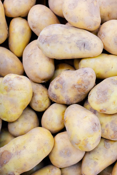 istock Stacked potatoes in Thailand 2159566694