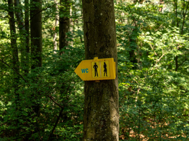 istock Yellow public toilet sign pointing direction in forest 2159567549