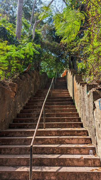istock Beautiful staircase of Nature 2159567785