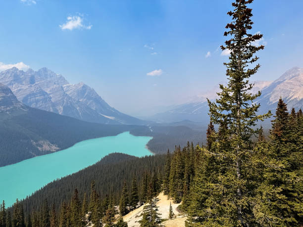 istock Peyto Lake, Alberta. Summer vacation in Canada. 2159568621
