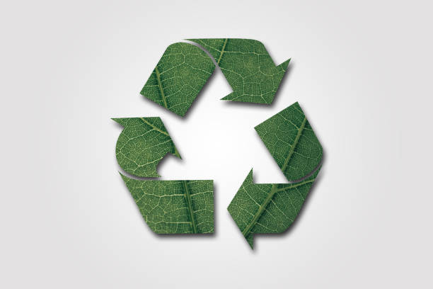 Modern view of various icons related to environment, finance, business and corporate governance themes. Lots of green landscapes in the background.