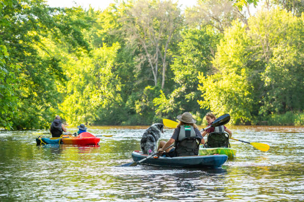 istock Family Kayaking on River on Summer Evening 2159574417