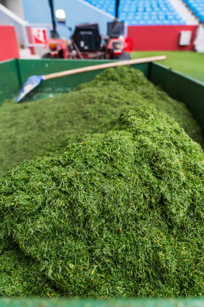A detailed look at the maintenance of hybrid grass at a sports stadium, showcasing the tools and processes involved in keeping the field in top condition.