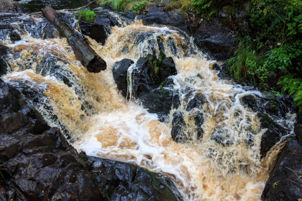 istock a bubbling fast cold river with cliffs and waterfalls, a mountain river with rapids 2159585636