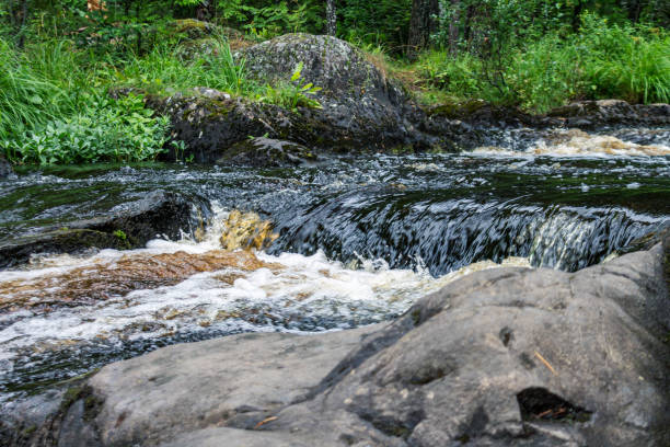 istock a bubbling fast cold river with cliffs and waterfalls, a mountain river with rapids 2159586798