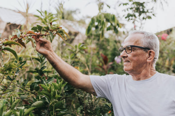 istock Senior man enjoying plants in the garden 2159586943