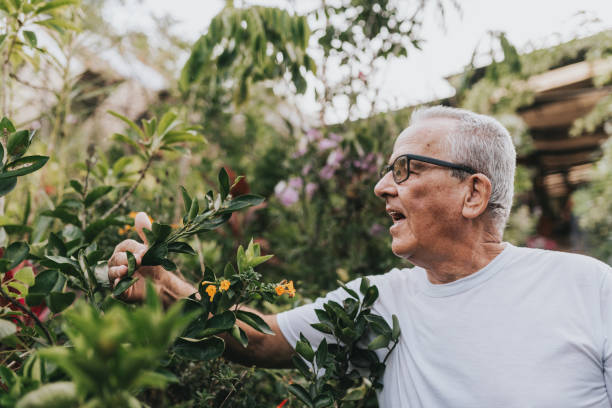 istock Senior man enjoying plants in the garden 2159586945